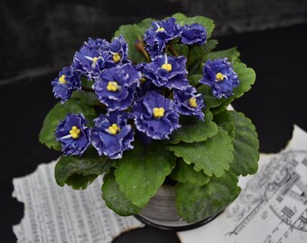 Violeta de arcilla polimérica en maceta: Escultura botánica hecha a mano