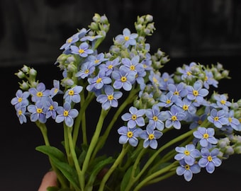 Lufttorkande lera Förgätmigej Blomgren: Handgjort realistiskt blomsterarrangemang