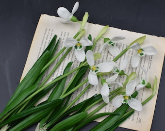 Snowdrop cold porcelain flowers Snowdrops for Gift Real touch snowdrop Botanical sculpture Artificial snowdrops Spring arrangement Ikebana