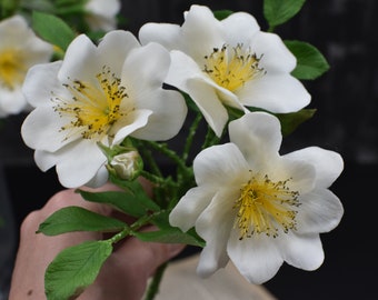 May include: A bouquet of white roses with yellow centers and green leaves.