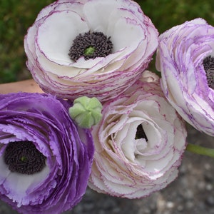 May include: A bouquet of four white and purple ranunculus flowers with green buds. The flowers have multiple layers of petals and a dark purple centre.