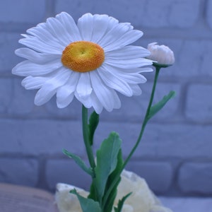 May include: A single white daisy with a yellow centre and a bud on a green stem. The flower is in focus against a blurry background of a white brick wall.