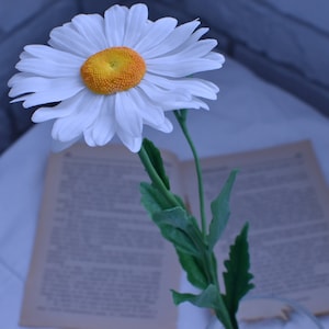 May include: A single white daisy with a yellow centre sits in a vase on top of an open book. The book is on a white surface.