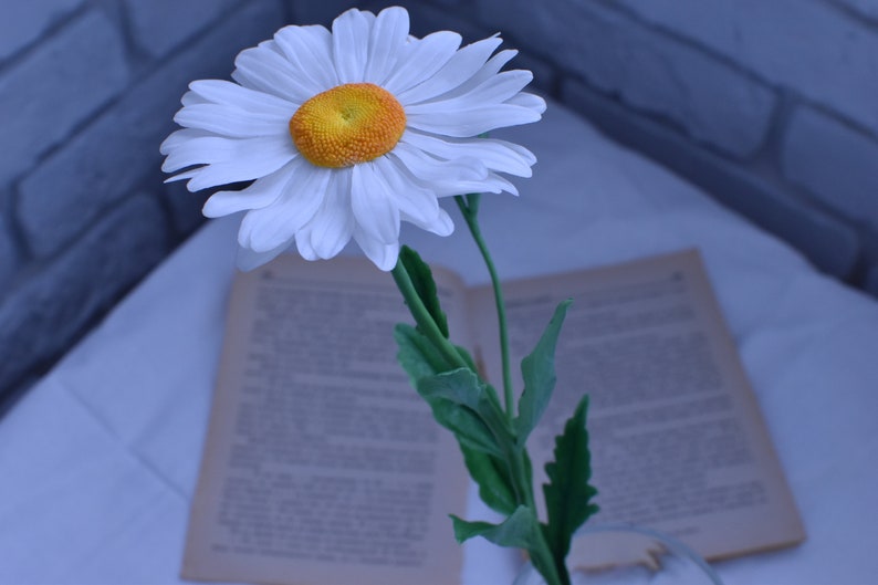 May include: A single white daisy with a yellow centre sits in a vase on top of an open book. The book is on a white surface.