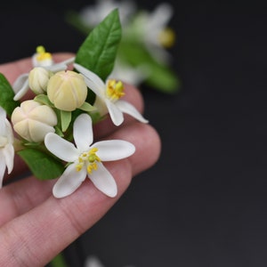 Orange blossom pin Bloming tangerine hair accessories Floral hair pins White wedding hair pins Bridesmaid hairpin Small flower Set hairpins image 3