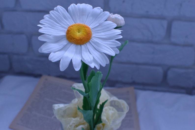 May include: A single white daisy with a yellow centre is arranged in a white lace vase. The flower is surrounded by green leaves.