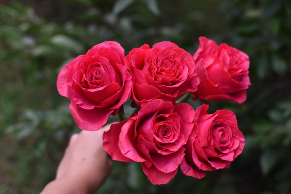 Handmade Cold Porcelain Rose Bouquet Realistic Forever Flowers Long-Lasting Floral Gift
