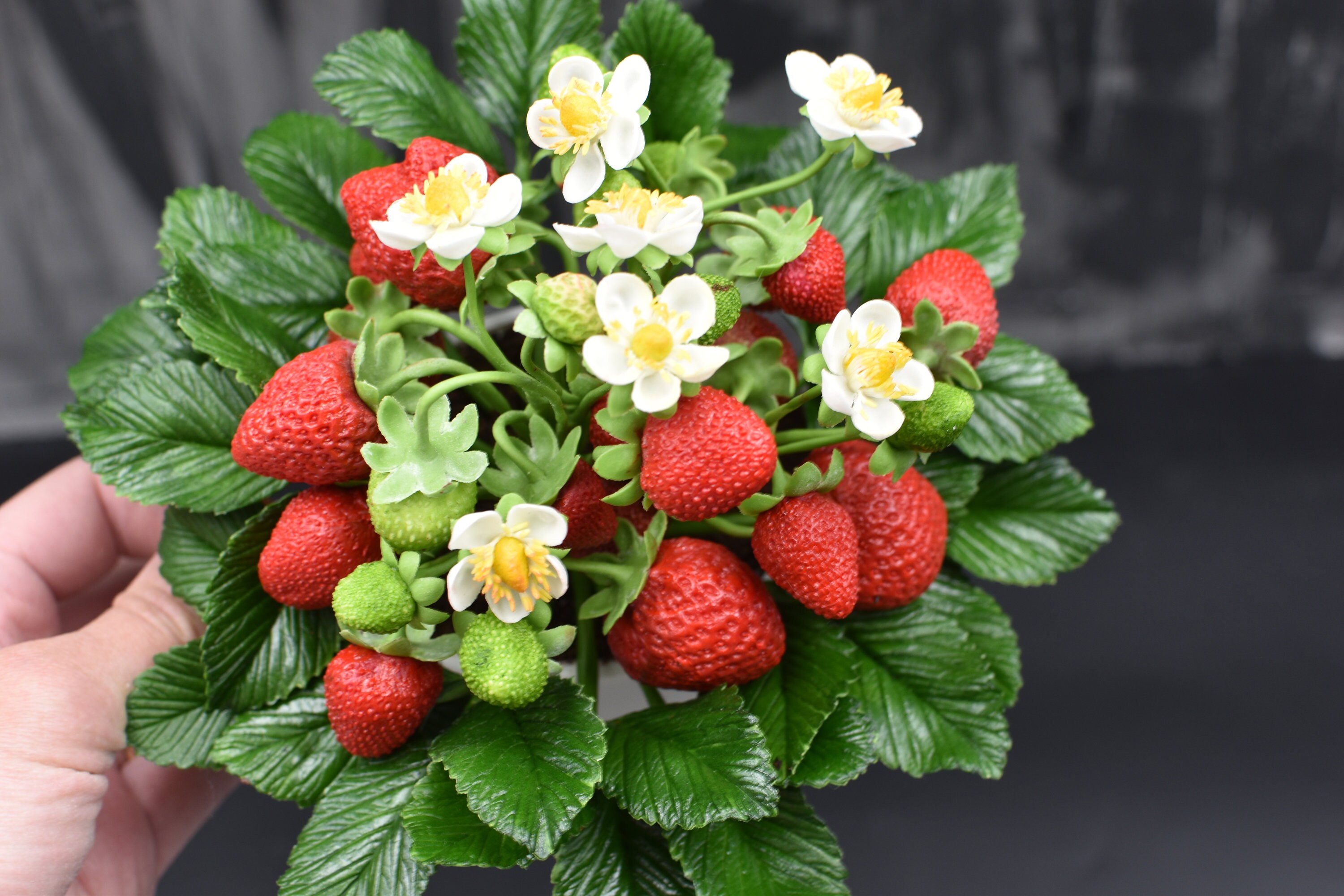 Cold Porcelain Strawberry Flowerpot: Handmade Berry Decor - Etsy