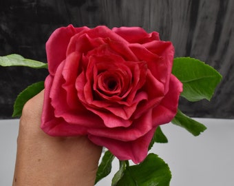 May include: A single, deep pink rose with a tightly closed bud. The rose is held in a hand, with green leaves visible.