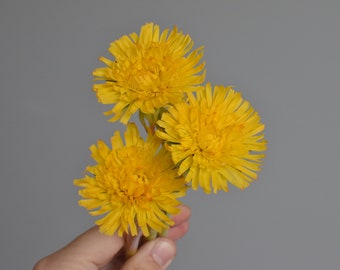 Dandelions from cold handmade porcelain dandelion from polymer clay bright dandelions yellow flowers  flower arrangement spring flowers