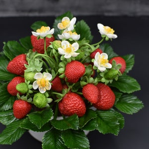 May include: A bouquet of red strawberries with white flowers and green leaves. The strawberries are arranged in a white pot.