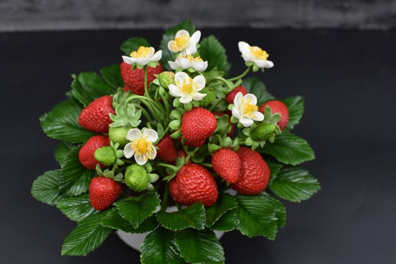 Cold Porcelain Strawberry Flowerpot: Handmade Berry Arrangement - Etsy