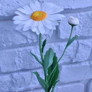 May include: A white daisy with a yellow centre and a green stem. The daisy is in bloom and has a bud on the stem. The flower is against a white brick wall.