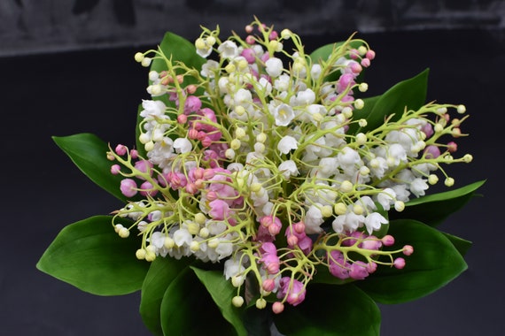 Pink Lily Of The Valley Flower
