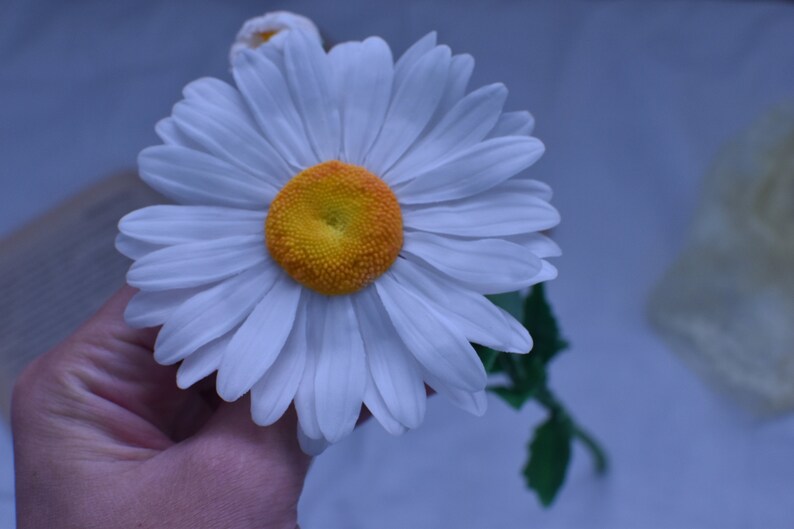 May include: A single white daisy with a yellow centre is held in a hand. The daisy has many petals and is in focus. The background is a light blue colour.