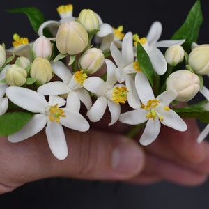 Orange blossom pin Bloming tangerine hair accessories Floral hair pins White wedding hair pins Bridesmaid hairpin Small flower Set hairpins image 8