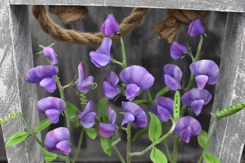 May include: A cluster of purple sweet pea flowers with green leaves and stems arranged in a rustic wooden frame.