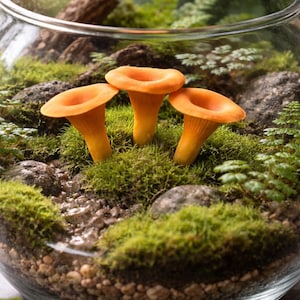 Miniature Orange Mushrooms Set – Cold Porcelain Terrarium Decor, Plant Pot Accent