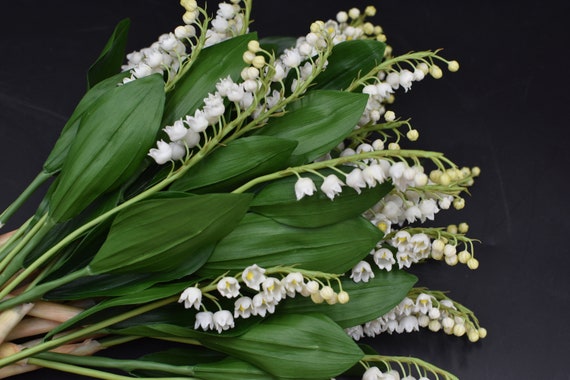 Lily of the Valley Bouquet: Cold Porcelain Flowers, Nature