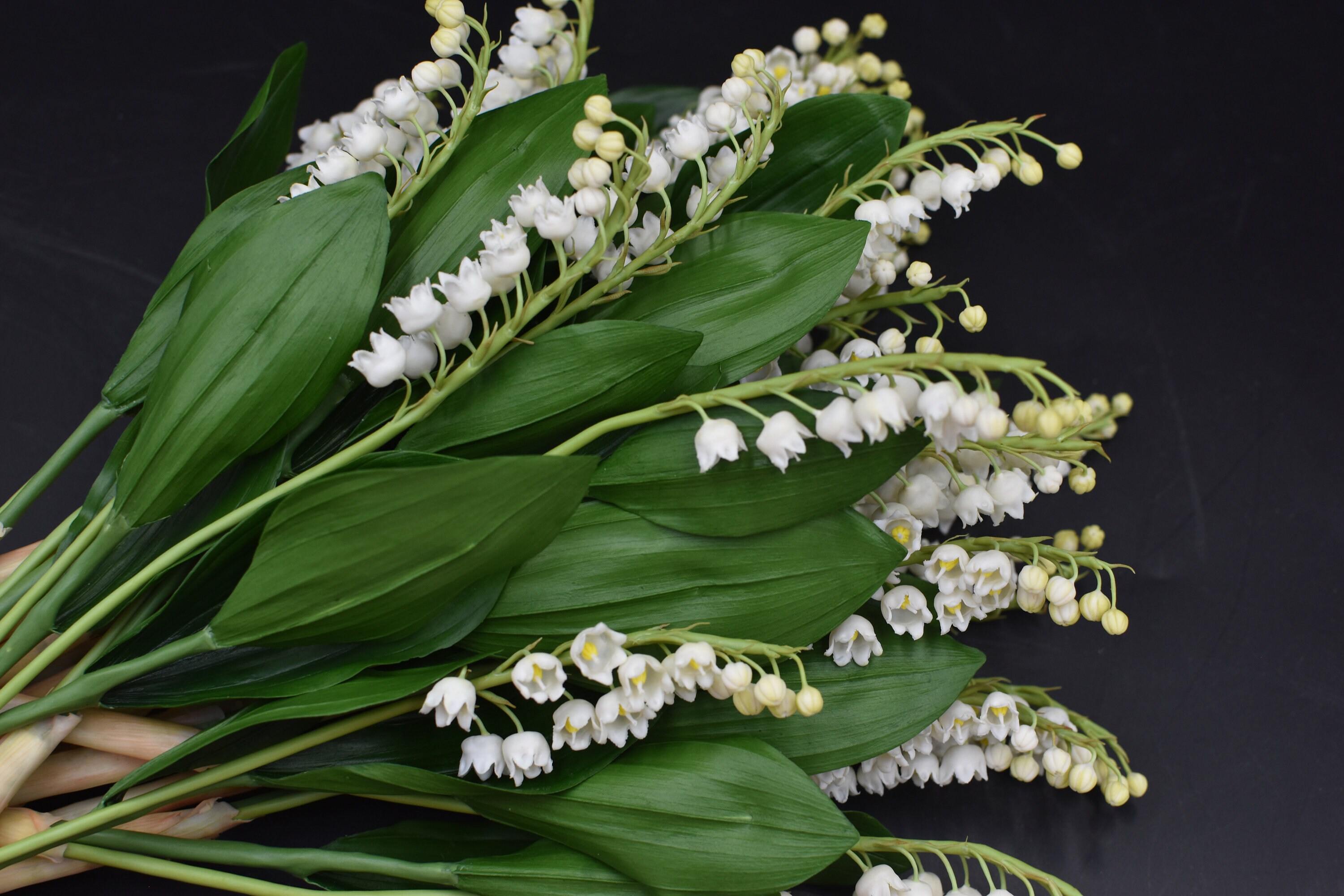 ミ*ト様 Fleurs デザートプレート Lily of the Valley ミ*ト様 Fleurs デザートプレート Lily of the Valley