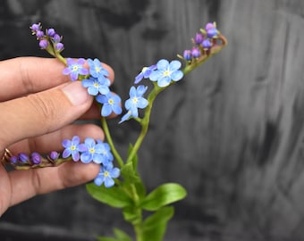 Handmade Air Dry Clay Forget-Me-Not Flower Arrangement