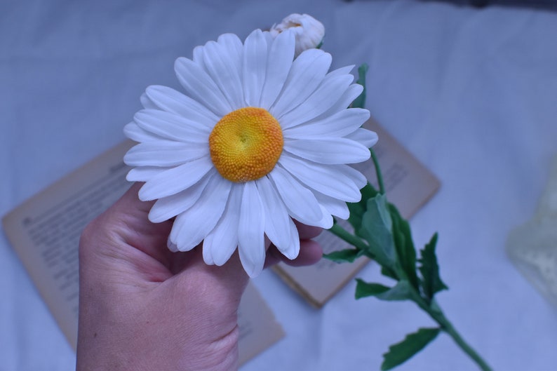 May include: A single white daisy with a yellow centre is held in a hand. The daisy is part of a stem with green leaves.