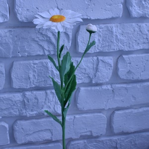 May include: A single white daisy with a yellow centre and a bud on a green stem against a white brick wall background.