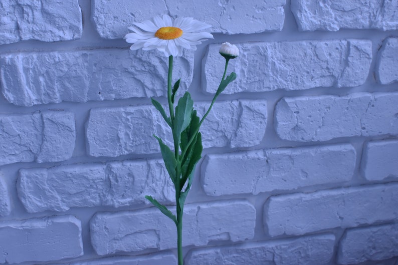 May include: A single white daisy with a yellow centre and a bud on a green stem against a white brick wall background.