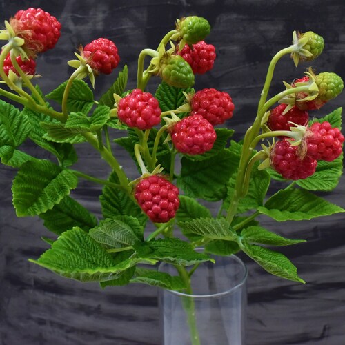 In stock Cold porcelain raspberry Raspberry sprig botanical sculpture Autumn berries for home decor Christmas present Mother day gift Mom shops
