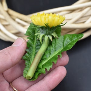 Yellow Dandelion Brooch: Cold Porcelain Floral Boutonniere