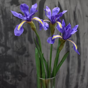 K&ouml;nnte beinhalten: Ein Strau&szlig; aus drei violetten Iris mit gelben Akzenten in einer klaren Glasvase. Die Blumen sind einfach und elegant angeordnet, und die Vase ist klar und modern.