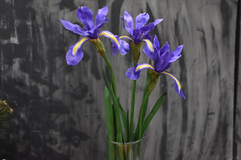 K&ouml;nnte beinhalten: Ein Strau&szlig; aus drei violetten Iris mit gelben Akzenten in einer klaren Glasvase. Die Blumen sind einfach und elegant angeordnet, und die Vase ist klar und modern.