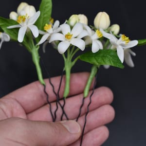 Orange blossom pin Bloming tangerine hair accessories Floral hair pins White wedding hair pins Bridesmaid hairpin Small flower Set hairpins image 2