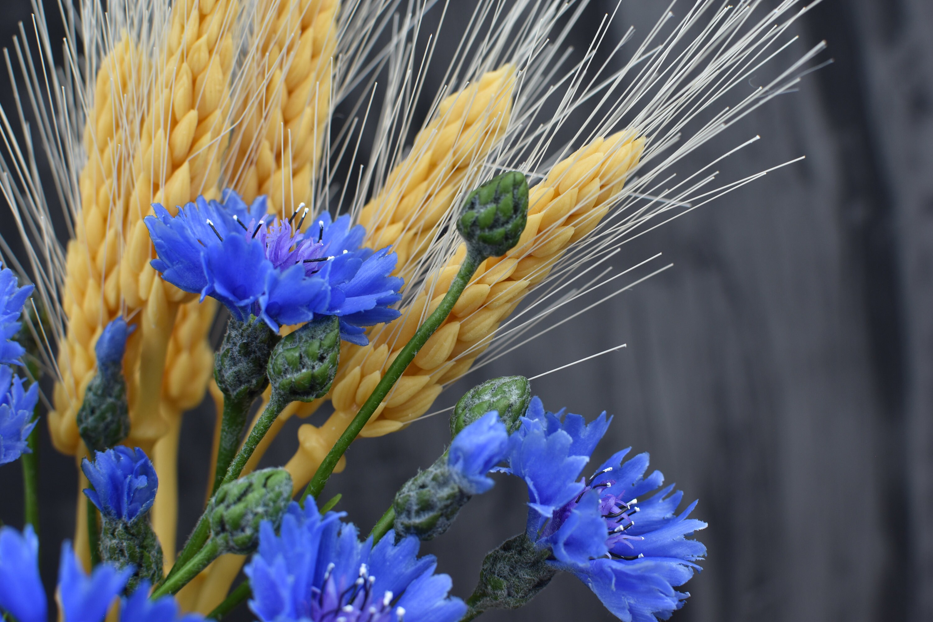 冷磁器のヤグルマギクの花束：植物彫刻、手作りの粘土の花 - Etsy 日本