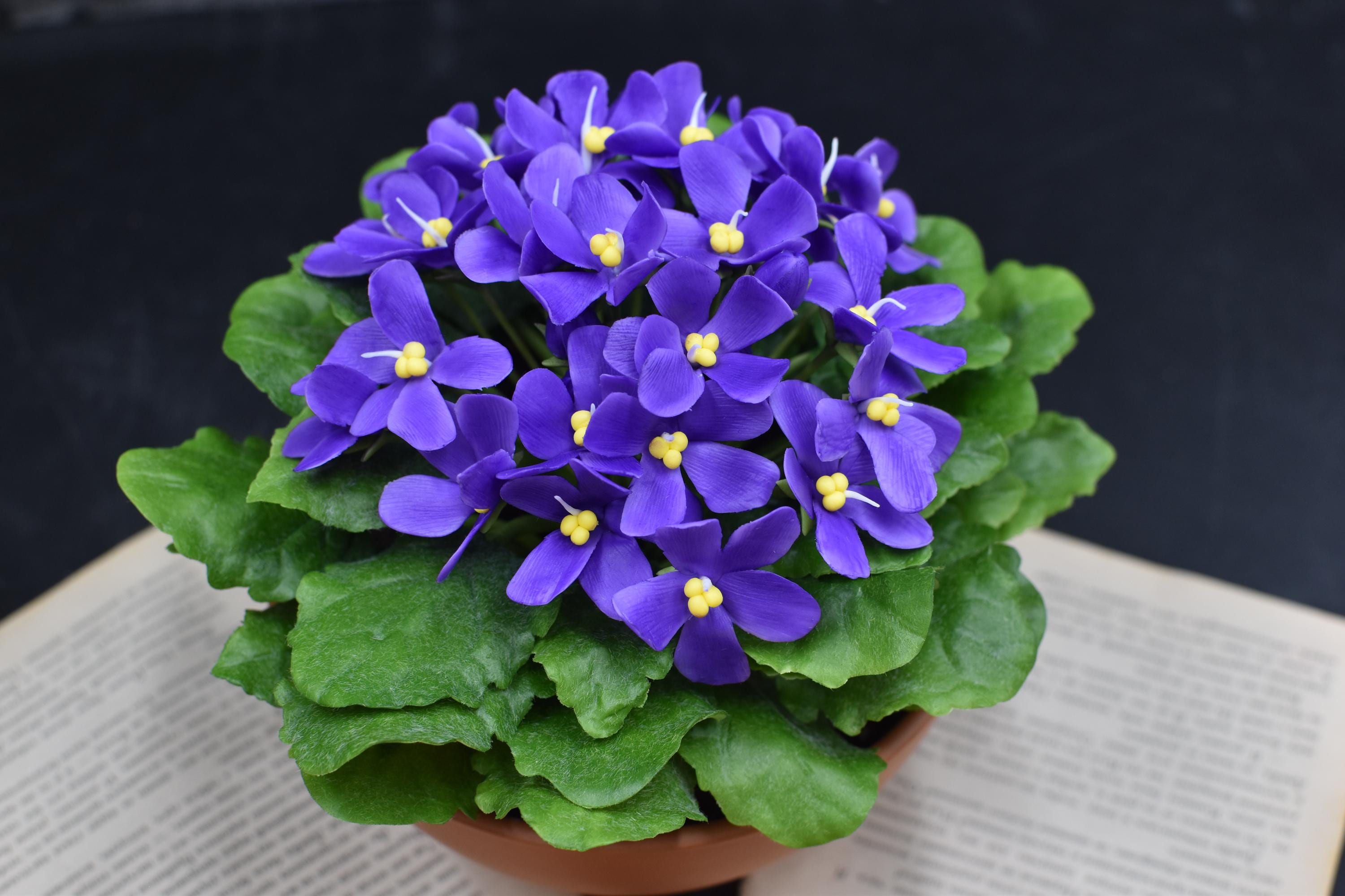 Realistic flower Violet Flower Pot Handmade Cold Porcelain Polymer Clay Decoration Violet Botanical Sculpture Real Touch Flower Ceramic