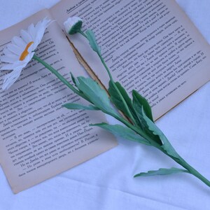 May include: A white book with a white and yellow daisy flower and green stem on top of it. The book is open and the pages are visible. The book is on a white surface.
