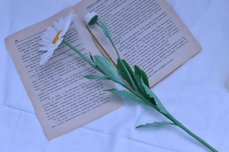 May include: A white book with a white and yellow daisy flower and green stem on top of it. The book is open and the pages are visible. The book is on a white surface.