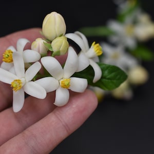 Orange blossom pin Bloming tangerine hair accessories Floral hair pins White wedding hair pins Bridesmaid hairpin Small flower Set hairpins image 4