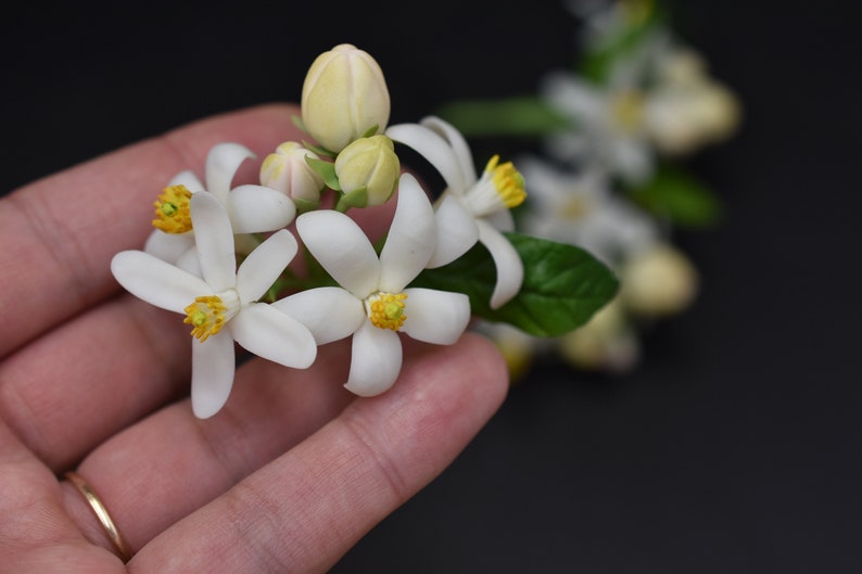 Orange blossom pin Bloming tangerine hair accessories Floral hair pins White wedding hair pins Bridesmaid hairpin Small flower Set hairpins image 4