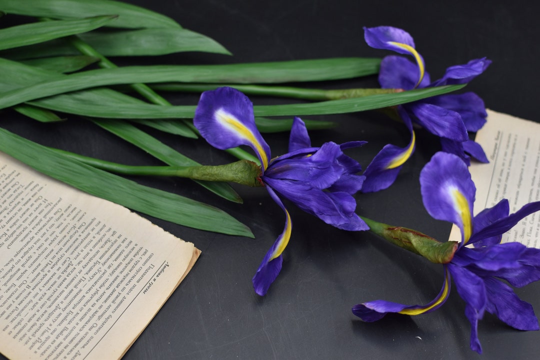 Handmade Cold Porcelain Iris Flower: Botanical Sculpture - Etsy