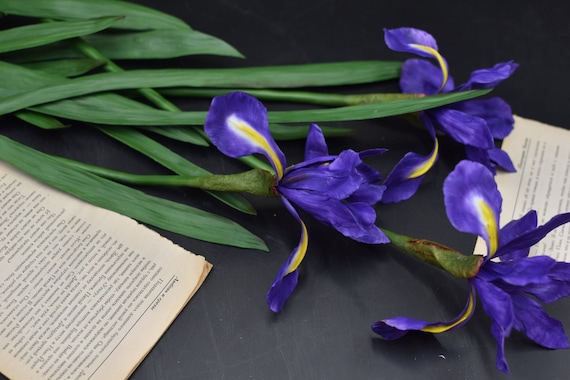 Handmade Cold Porcelain Iris Flower: Botanical Sculpture