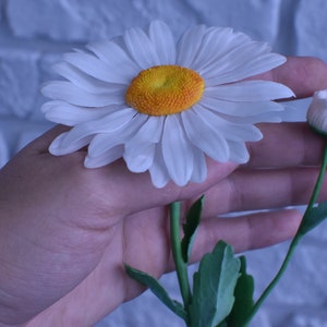 May include: A hand holding a white daisy with a yellow centre and a closed white bud on a green stem.