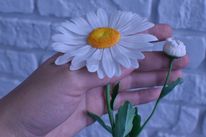 May include: A hand holding a white daisy with a yellow centre and a closed white bud on a green stem.