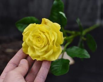 May include: A single yellow rose with green leaves. The rose is in full bloom and has a delicate, layered appearance.