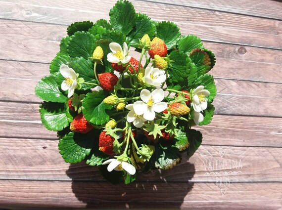 Handmade Cold Porcelain Strawberry Flower Arrangement - Etsy