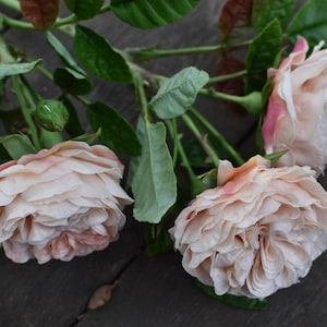 Cold Porcelain Rose Bouquet David Austin Flower Style Lifelike Polymer Clay Flowers for Home Office Decor or Gift Real touch flowers clay