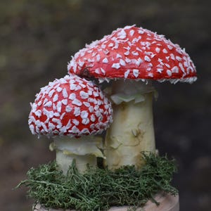 Realistic Artificial Toadstool Mushrooms motifs Handmade Decor Handcrafted Realistic Toadstool Mushrooms Nature-Inspired Perfect Gift