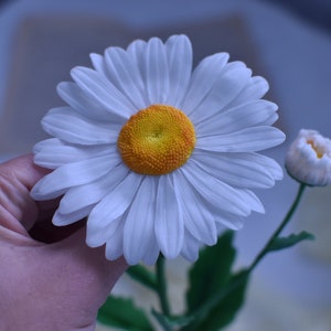 May include: A white daisy with a yellow centre, with a smaller white bud on a green stem.