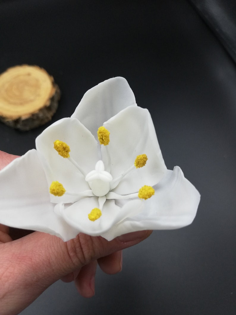 White tulip Hairpin with tulip flowers Hair ornaments Flower hairpin Ornaments for a wedding hairstyle Flowers at the hair Dry flowers tulip