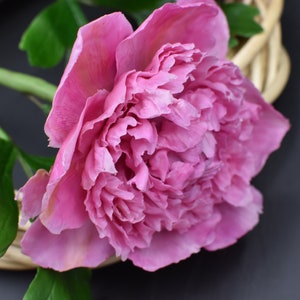 Pink peony cold porcelain Clay peony Porcelain flowers Ceramic flower  Porcelain Flowers Botanical sculpture Realistic peony Bouquet